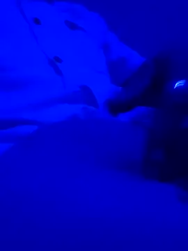 montereal1212 online show from December 2, 2024, 3:04 am