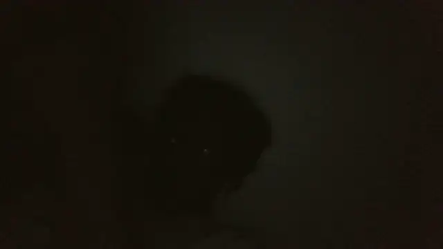 ThatDickSexy2 online show from September 15, 2025, 5:18 am