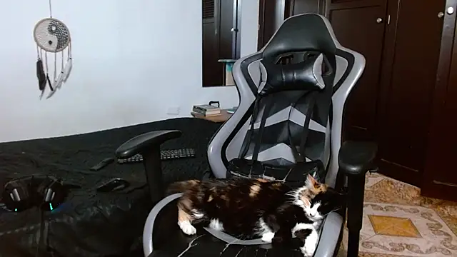 Snapshot of aaron_blug chatting on January 17, 2025, 4:06 am aaron blug online show from January 17, 2025, 4:06 am