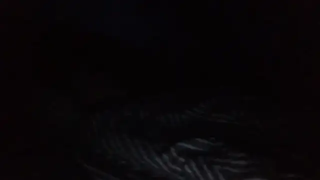 SHARPSkinhead online show from August 2, 2026, 2:10 am