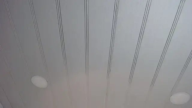 Snapshot of candy_lux_ chatting on February 24, 2025, 2:37 pm candy lux online show from February 24, 2025, 2:37 pm