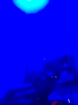 Brian johns online show from March 23, 2026, 9:08 pm