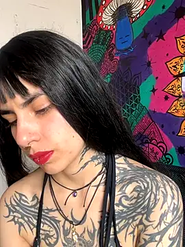  Artemisa X online show from November 27, 2025, 4:31 pm