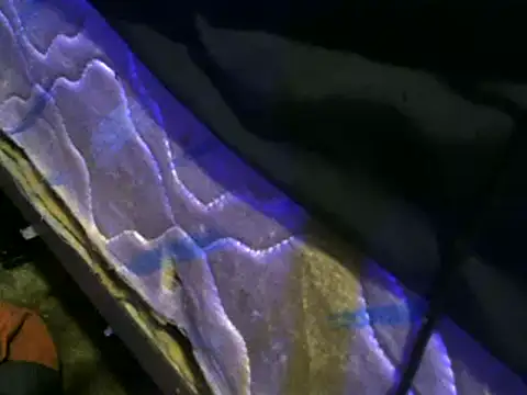 jaxx12369 online show from February 1, 2025, 8:08 am