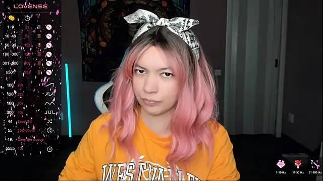 Project hisoka online show from November 14, 2025, 11:20 am