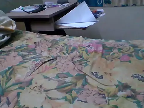 Snapshot of bas1cooks chatting on September 27, 2025, 5:07 pm bas1cooks online show from September 27, 2025, 5:07 pm