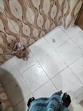 Snapshot of bas1cooks chatting on September 30, 2025, 3:22 am bas1cooks online show from September 30, 2025, 3:22 am