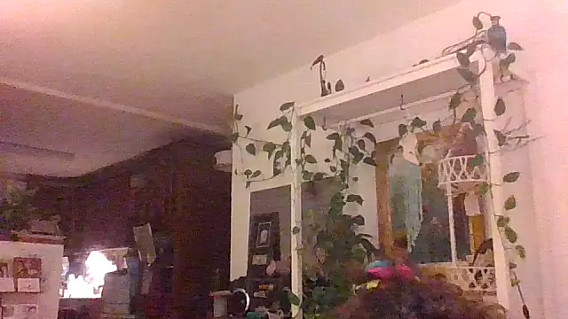 Snapshot of juicyrubies chatting on September 16, 2025, 5:58 pm juicyrubies online show from September 16, 2025, 5:58 pm