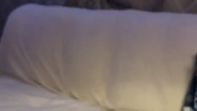 Snapshot of max_o_max42 chatting on March 1, 2025, 12:39 am max o max42 online show from March 1, 2025, 12:39 am