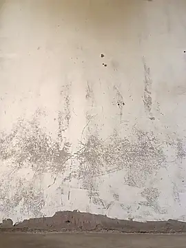 Yasha 14C Creator online show from November 8, 2025, 7:19 am