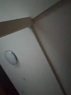 Snapshot of pnp0Japan chatting on February 27, 2025, 8:50 am pnp0Japan online show from February 27, 2025, 8:50 am