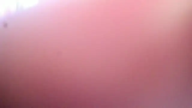 Dana Jeins online show from July 29, 2026, 7:23 pm