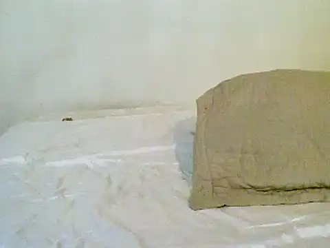 pollarikaaa online show from November 10, 2025, 1:37 am