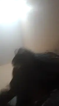 Snapshot of Sajal-03 chatting on December 1, 2024, 4:51 pm Sajal-03 online show from December 1, 2024, 4:51 pm