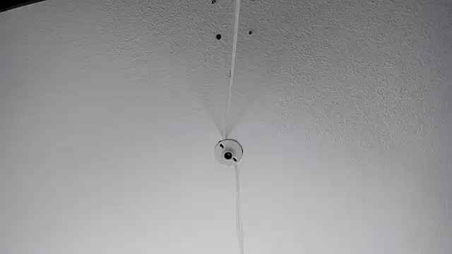 MelissaKarterrs online show from January 20, 2025, 11:56 am