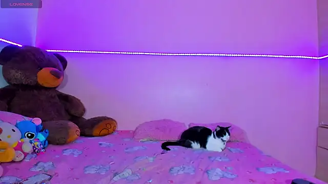 Snapshot of Canndy88htxx chatting on December 2, 2025, 12:49 am Canndy88htxx online show from December 2, 2025, 12:49 am