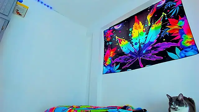 Sexyboy 666 online show from February 3, 2026, 6:46 pm