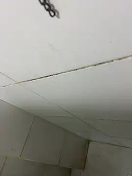 thfrances online show from February 27, 2026, 3:39 am