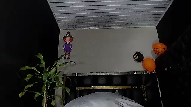 Kitie Petarda online show from November 23, 2025, 12:43 am