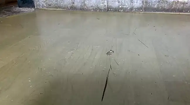 Snapshot of itstherahul chatting on February 17, 2025, 7:37 am itstherahul online show from February 17, 2025, 7:37 am