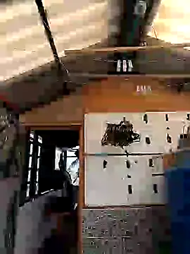 rebekka simpson online show from March 9, 2025, 8:10 pm