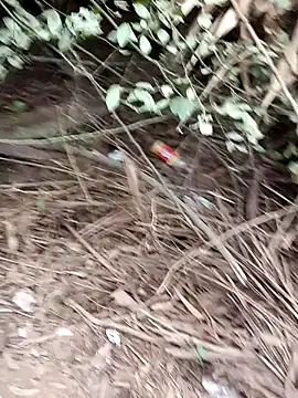 Snapshot of RockyNonStop chatting on December 24, 2024, 2:43 am RockyNonStop online show from December 24, 2024, 2:43 am