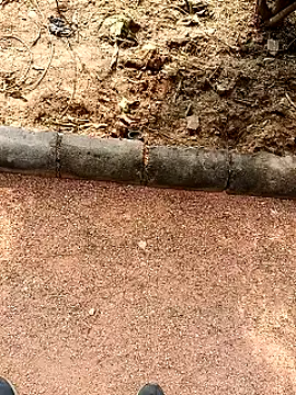 Snapshot of RockyNonStop chatting on January 19, 2025, 7:04 am RockyNonStop online show from January 19, 2025, 7:04 am