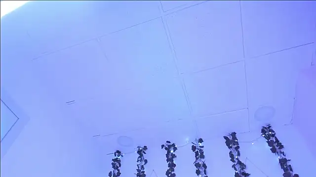 Snapshot of SophieHill_gh chatting on January 16, 2025, 1:27 am SophieHill gh online show from January 16, 2025, 1:27 am