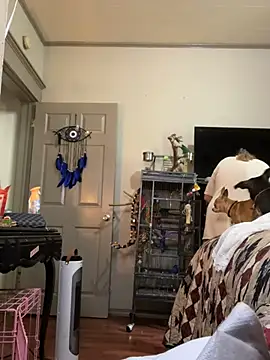 lezbean24 online show from March 11, 2026, 5:41 pm