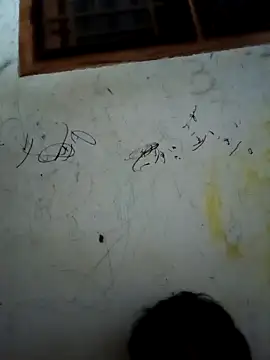 jayabal-04 online show from December 18, 2025, 10:38 pm