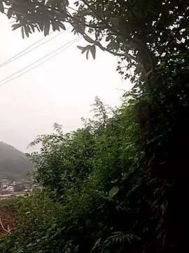 lustforlife9622 online show from December 3, 2025, 4:09 am