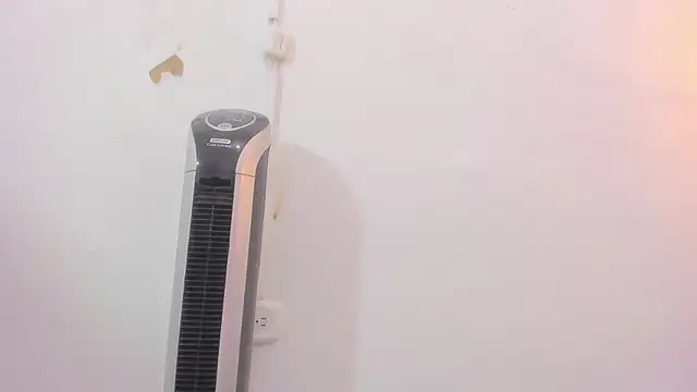 penelope handaos online show from December 12, 2024, 5:31 am