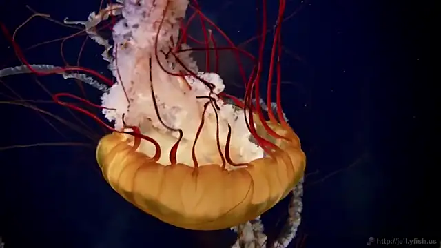 Snapshot of streamy_test11 chatting on February 28, 2025, 8:09 am streamy test11 online show from February 28, 2025, 8:09 am