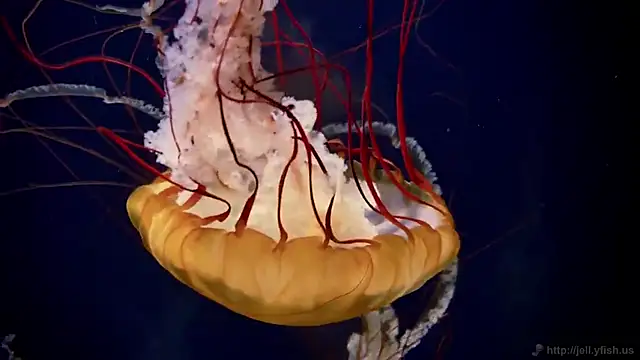 streamy test15 online show from March 13, 2026, 1:40 pm