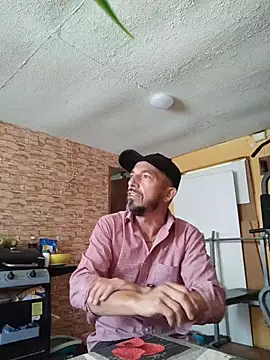 Snapshot of Tristan40@xh chatting on April 6, 2026, 5:03 pm Tristan40xh online show from April 6, 2026, 5:03 pm