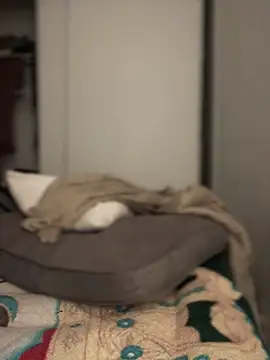 parTy20344 online show from December 6, 2024, 12:45 am