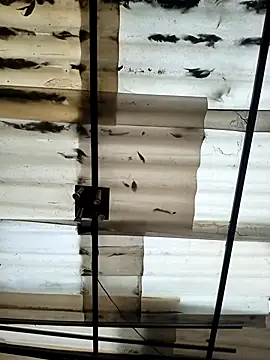 Snapshot of weedmanhot28 chatting on September 21, 2025, 12:07 pm weedmanhot28 online show from September 21, 2025, 12:07 pm