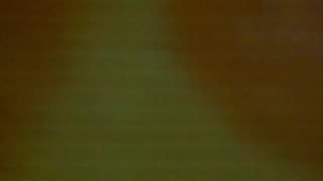 shanel taylor online show from December 18, 2024, 5:04 am