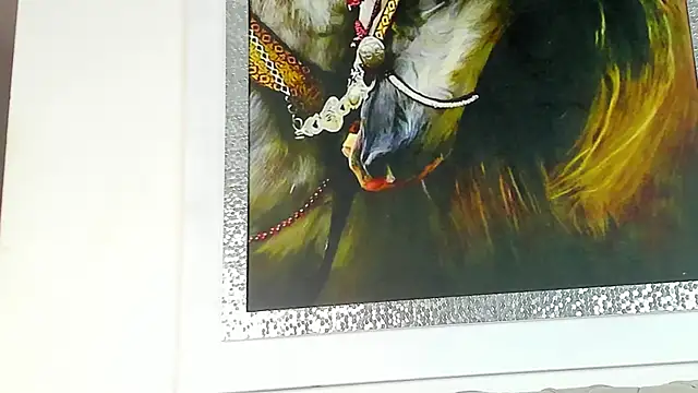 Snapshot of Makonneen chatting on September 9, 2025, 4:23 am Makonneen online show from September 9, 2025, 4:23 am