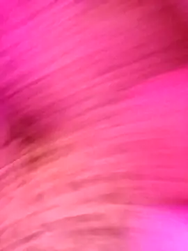 AvaChannel online show from December 20, 2025, 10:55 am