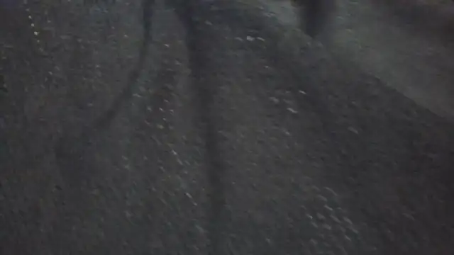 Leonul online show from March 24, 2026, 5:40 pm