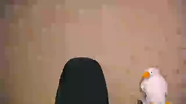  your fantasy girl online show from February 21, 2025, 1:00 pm