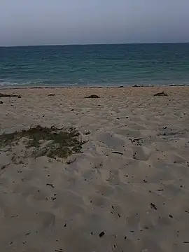 blacks couples online show from February 3, 2025, 3:06 pm