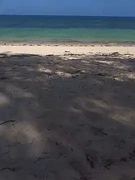 blacks couples online show from February 2, 2026, 12:26 pm