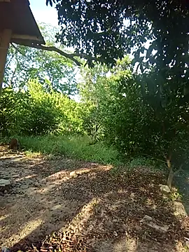 natally ross21 online show from February 5, 2026, 12:43 pm