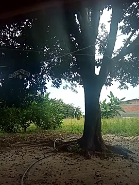 natally ross21 online show from February 9, 2026, 1:26 pm