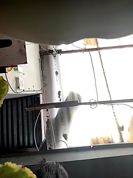 Snapshot of luna_asss chatting on October 25, 2025, 7:30 pm luna asss online show from October 25, 2025, 7:30 pm