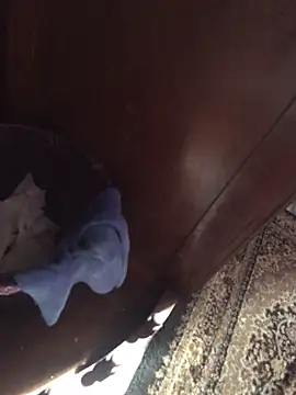 TangoingSorbet online show from November 2, 2025, 10:17 am