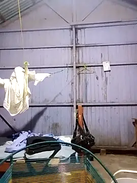 leyel00155 online show from March 12, 2026, 12:17 am