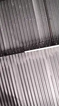 Snapshot of mendelicius chatting on February 11, 2026, 1:27 pm mendelicius online show from February 11, 2026, 1:27 pm